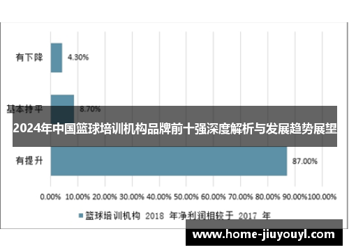 2024年中国篮球培训机构品牌前十强深度解析与发展趋势展望