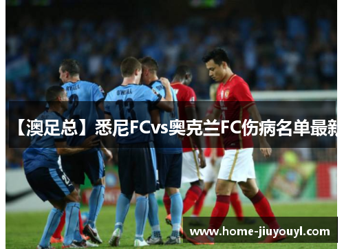 【澳足总】悉尼FCvs奥克兰FC伤病名单最新